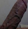 foto do perfil gggcontos